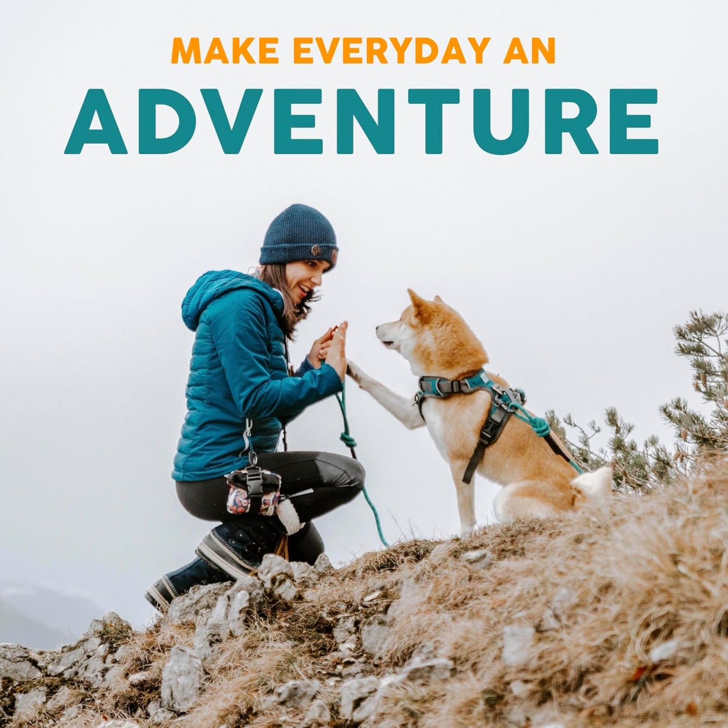 Embark Adventure Dog Collar – Stylish & Durable Nylon Dog Collars for Small Dogs, Comfortable Pet Collar, Small Dog Collars for Male & Female Dogs with Strong Buckles. Adjustable Small Dog Collars