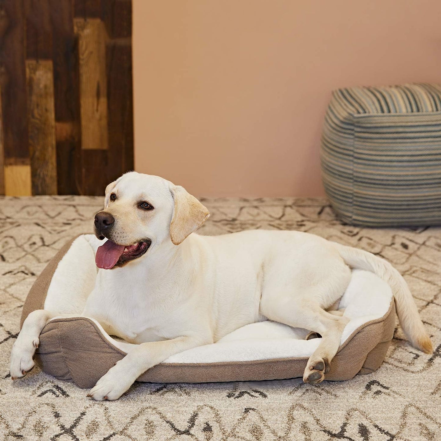Premium Square Dog Bed - Machine Washable and Comfort-Designed for Medium Breeds