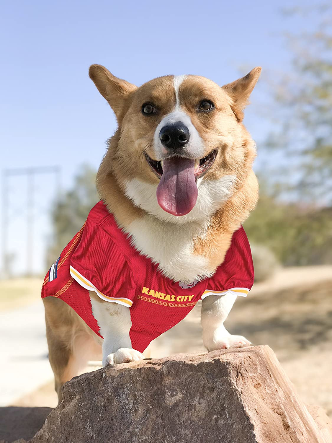 Kansas City Chiefs Medium Dog Jersey - Official NFL Football Costume for Pets