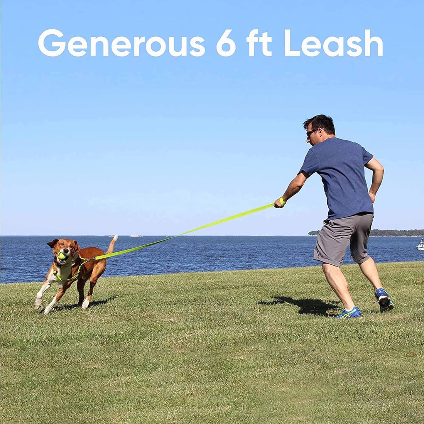 6-Foot Solid Color Dog Training Leash with Comfortable Handle - Medium/Large Size in Pink