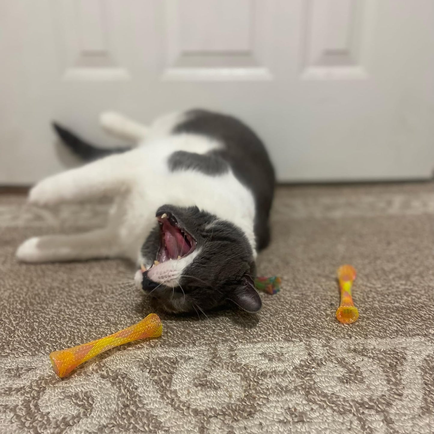 Kitty Fun Tubes Interactive Cat Toy Set | Bouncy Catnip-Infused Toys for Engaging Playtime | 3-Piece Collection for Cats and Kittens