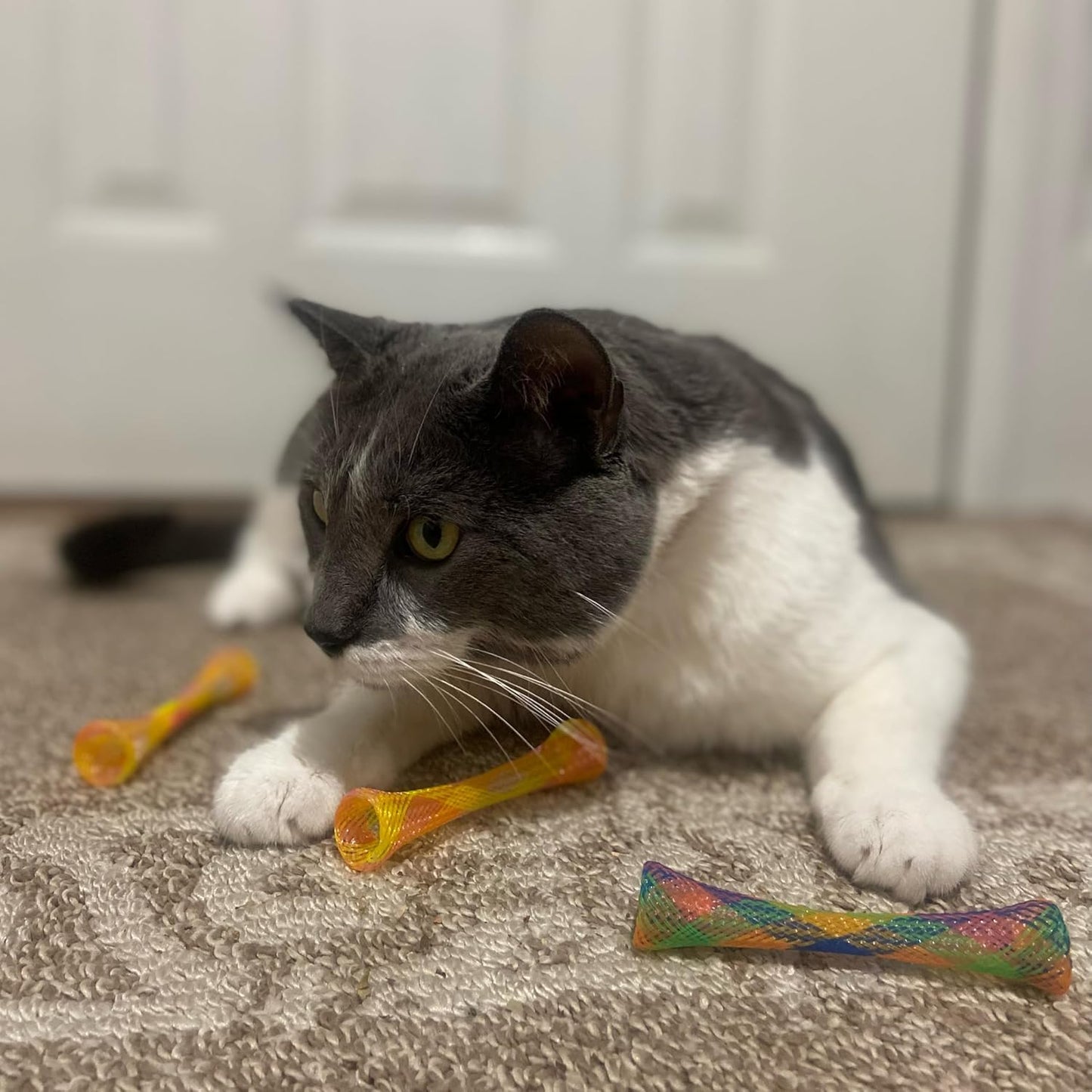 Kitty Fun Tubes Interactive Cat Toy Set | Bouncy Catnip-Infused Toys for Engaging Playtime | 3-Piece Collection for Cats and Kittens