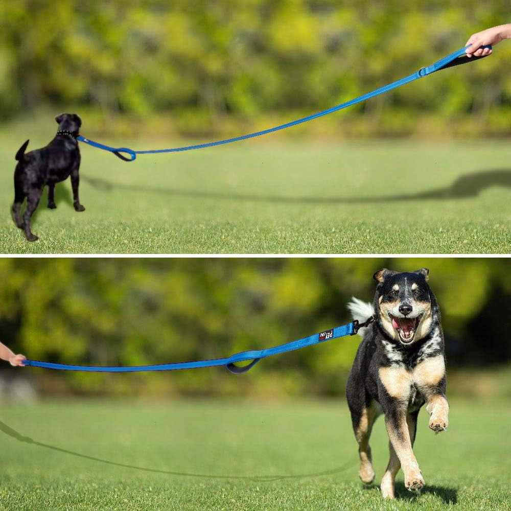 6Ft Heavy Duty Dog Leash with Padded Traffic Handles, Reflective Design for Enhanced Control and Safety Training, Ideal for Large and Medium Dogs (Light Blue)