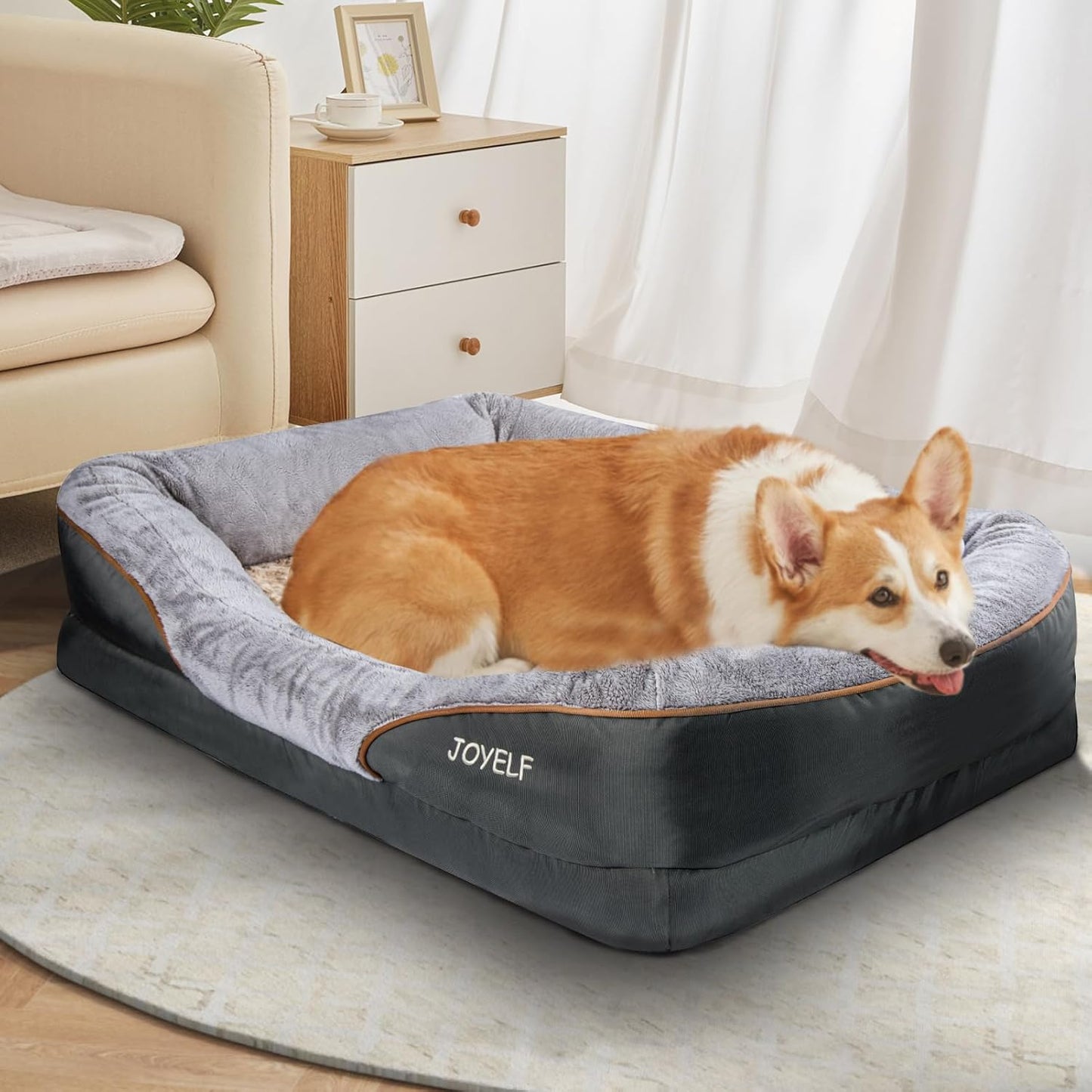 Orthopedic Large Memory Foam Dog Bed with Removable Washable Cover and Complimentary Squeaker Toy