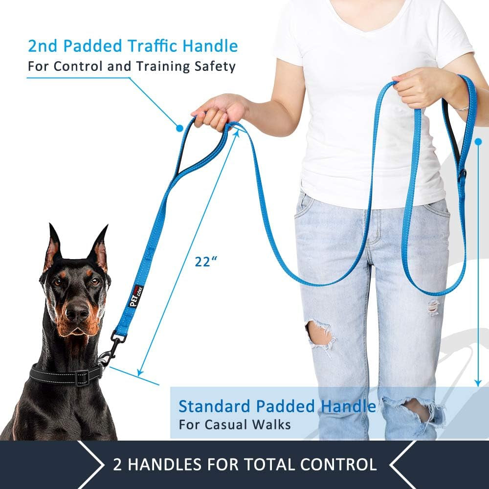 6Ft Heavy Duty Dog Leash with Padded Traffic Handles, Reflective Design for Enhanced Control and Safety Training, Ideal for Large and Medium Dogs (Light Blue)