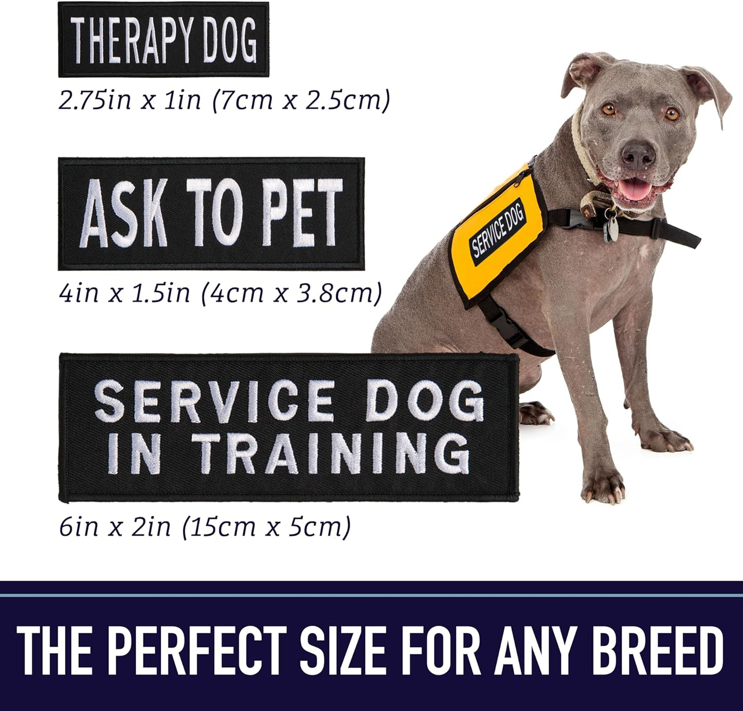 Service Dog Harness Patches | Velcro-Backed Embroidered Patches for Vests | Do Not Pet, Dog in Training, Service Dog, Emotional Support | Removable Hook and Loop Design