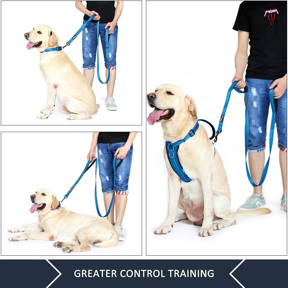 6Ft Heavy Duty Dog Leash with Padded Traffic Handles, Reflective Design for Enhanced Control and Safety Training, Ideal for Large and Medium Dogs (Light Blue)