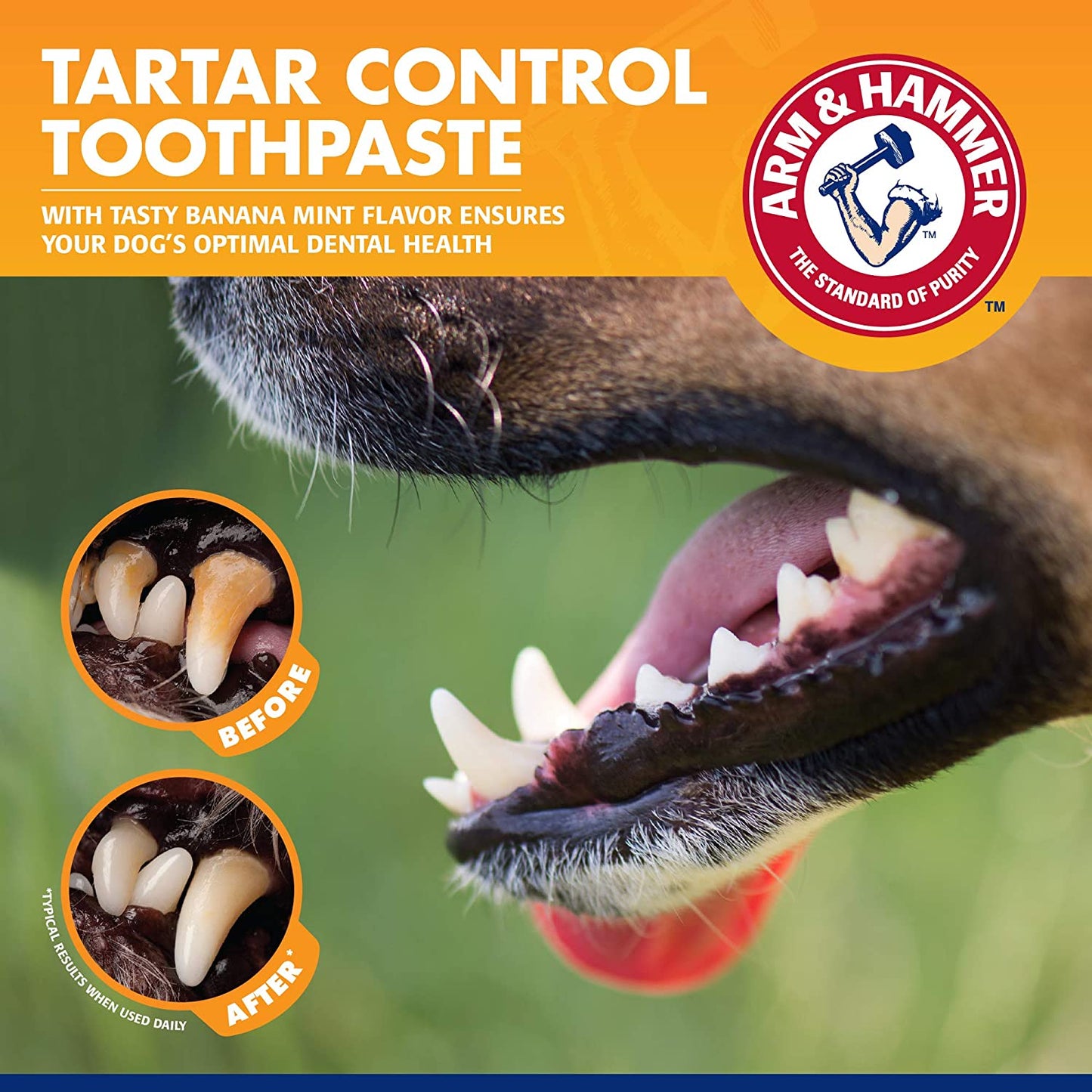 Tartar Control Kit for Dogs - 3-Piece Set with Toothpaste, Toothbrush, and Fingerbrush in Banana Mint Flavor, Reduces Plaque and Tartar Buildup