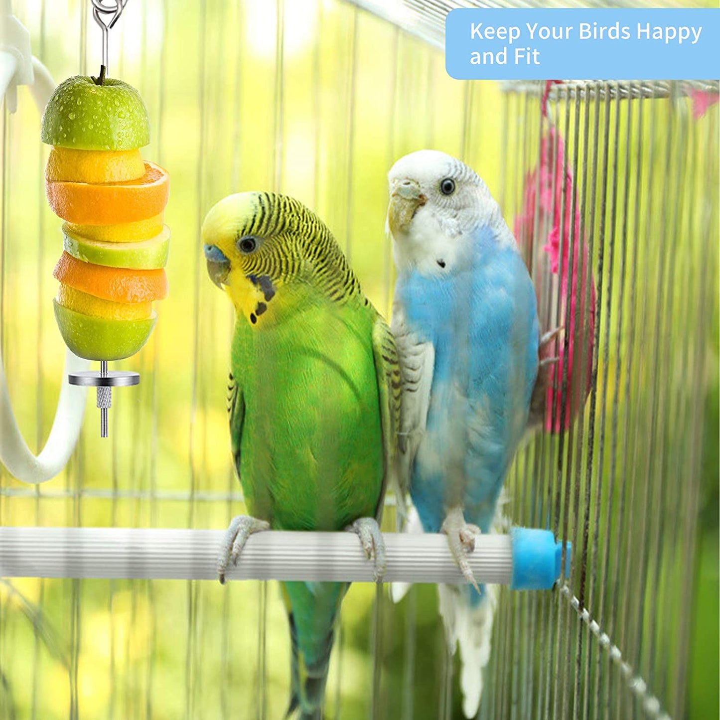 3-Piece Stainless Steel Bird Food Holder and Feeder Toy for Small Animals, Ideal for Parrots, Cockatoos, and Cockatiels