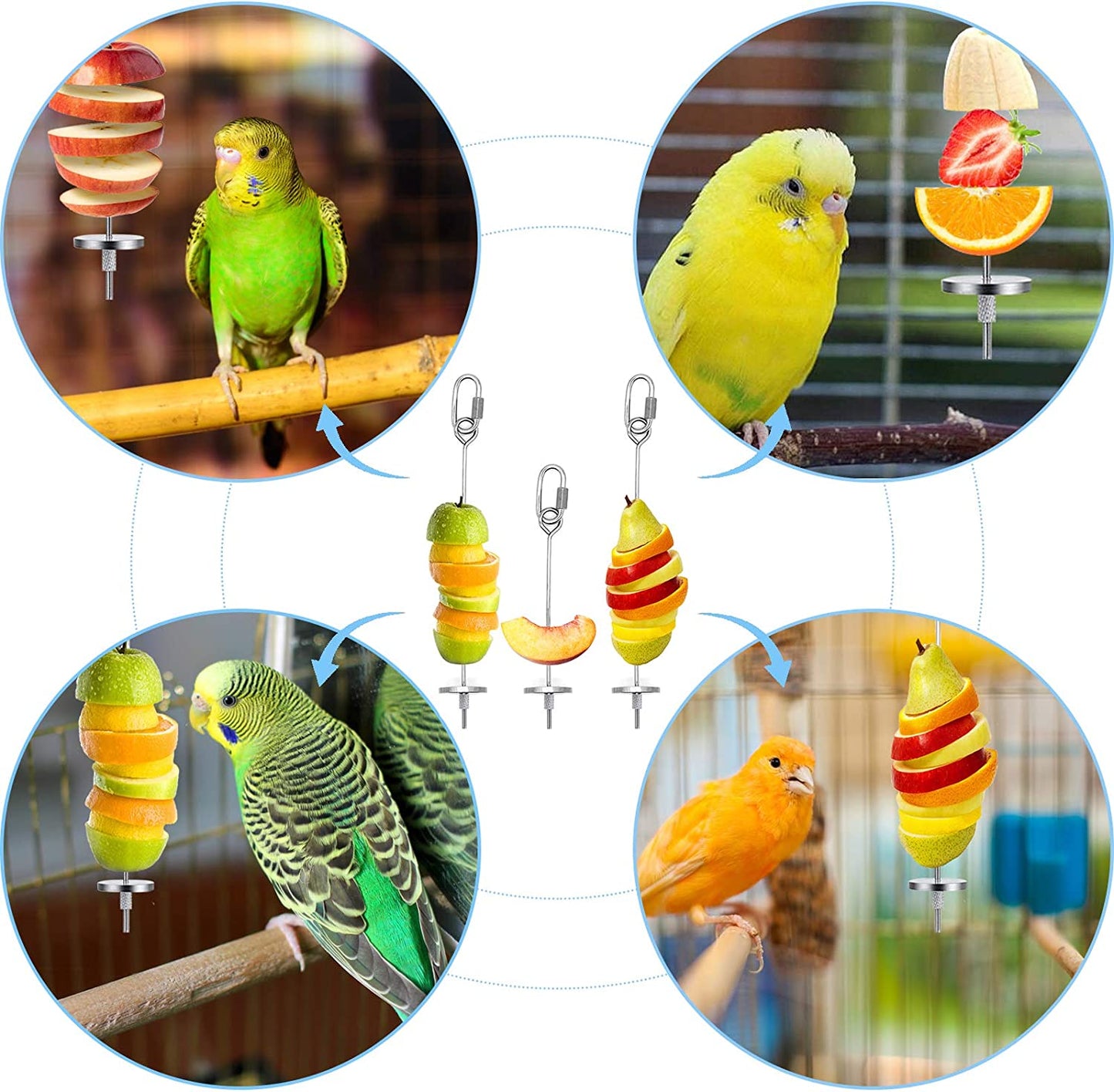 3-Piece Stainless Steel Bird Food Holder and Feeder Toy for Small Animals, Ideal for Parrots, Cockatoos, and Cockatiels