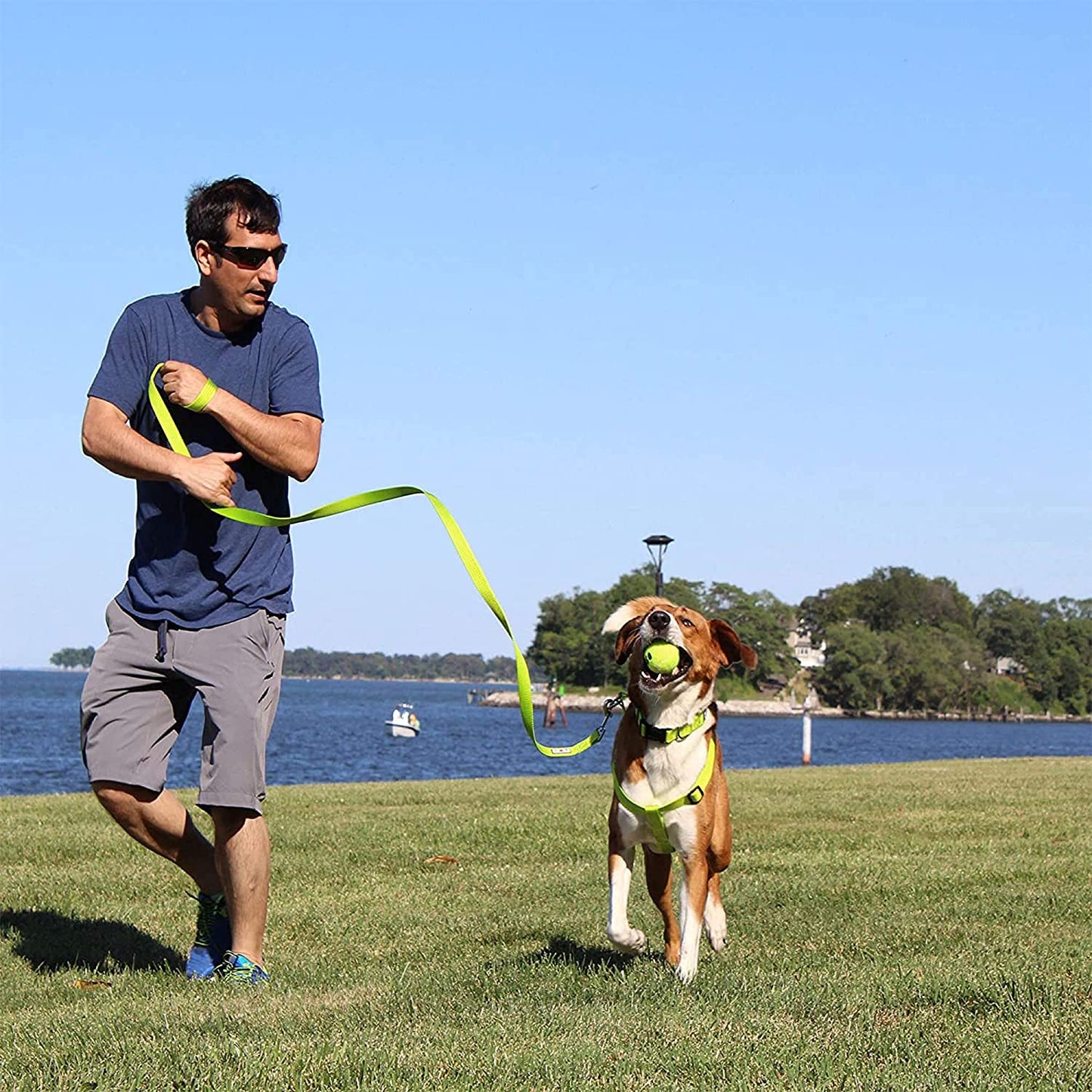 6-Foot Solid Color Dog Training Leash with Comfortable Handle - Medium/Large Size in Pink