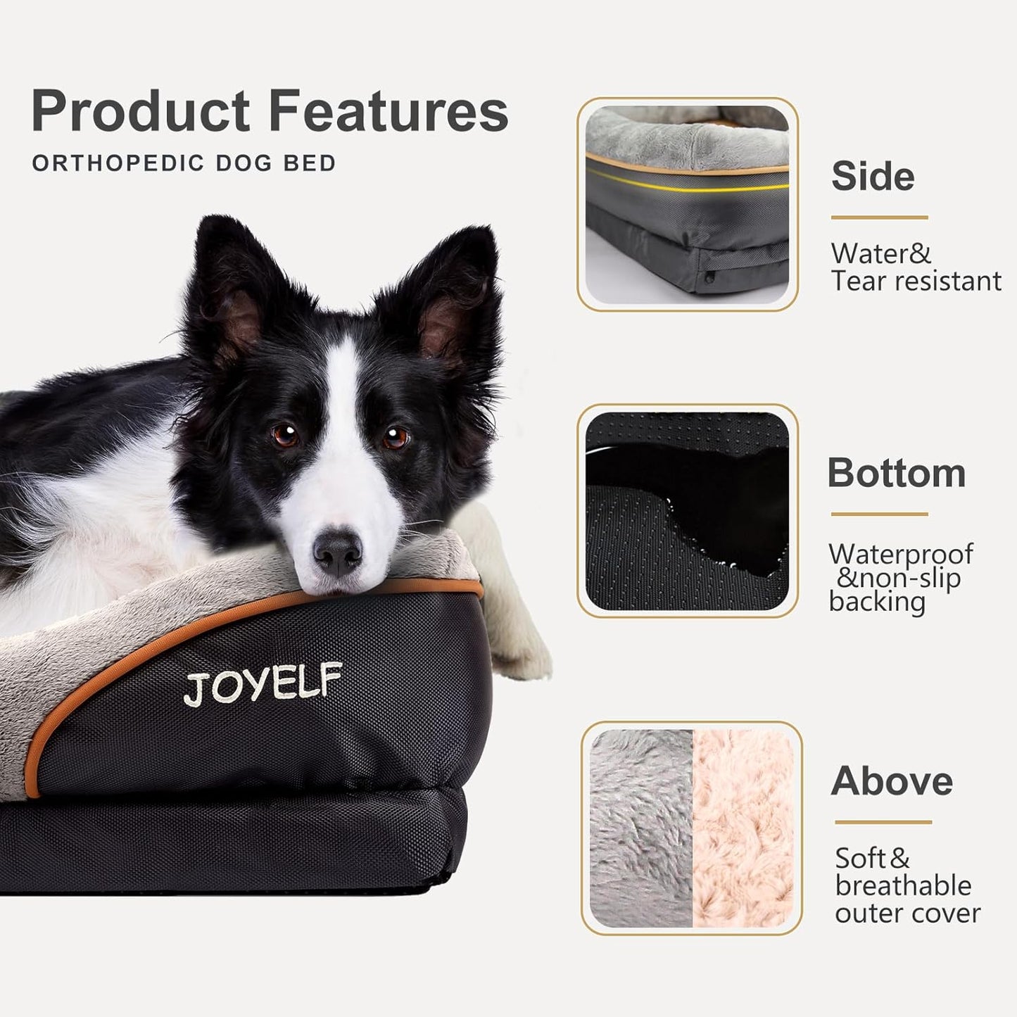 Orthopedic Large Memory Foam Dog Bed with Removable Washable Cover and Complimentary Squeaker Toy