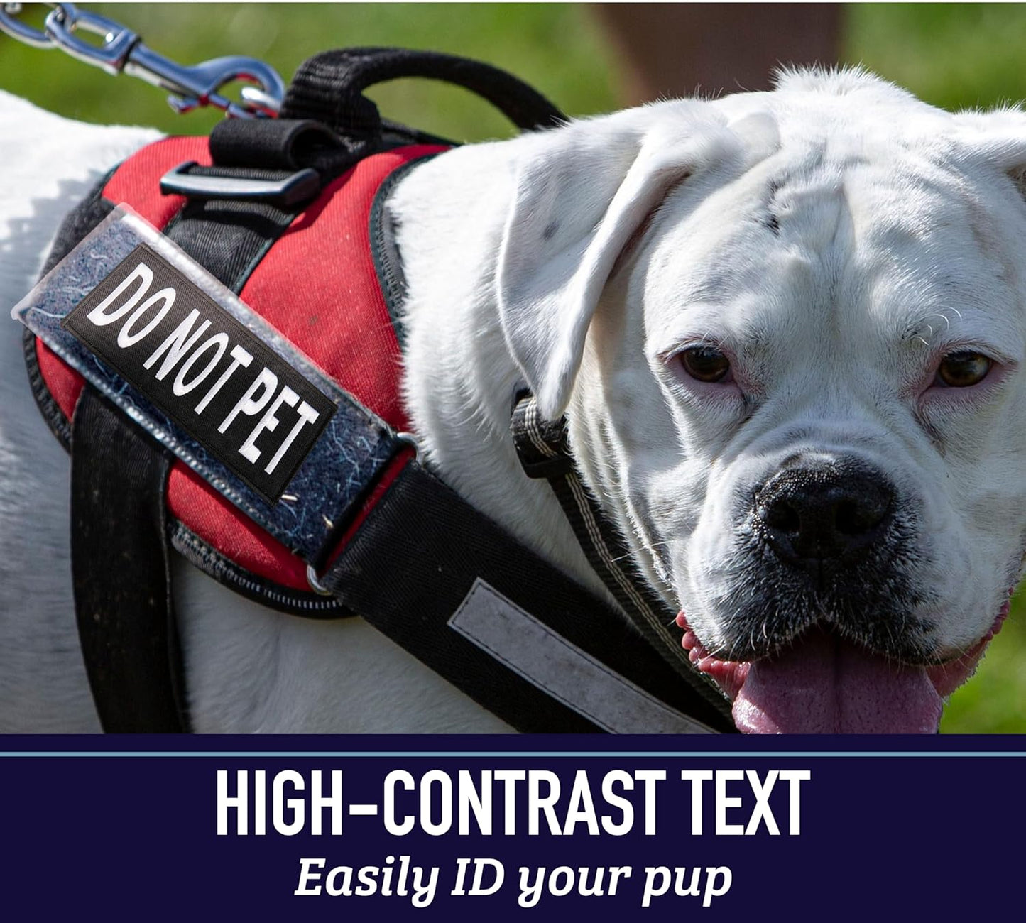 Service Dog Harness Patches | Velcro-Backed Embroidered Patches for Vests | Do Not Pet, Dog in Training, Service Dog, Emotional Support | Removable Hook and Loop Design