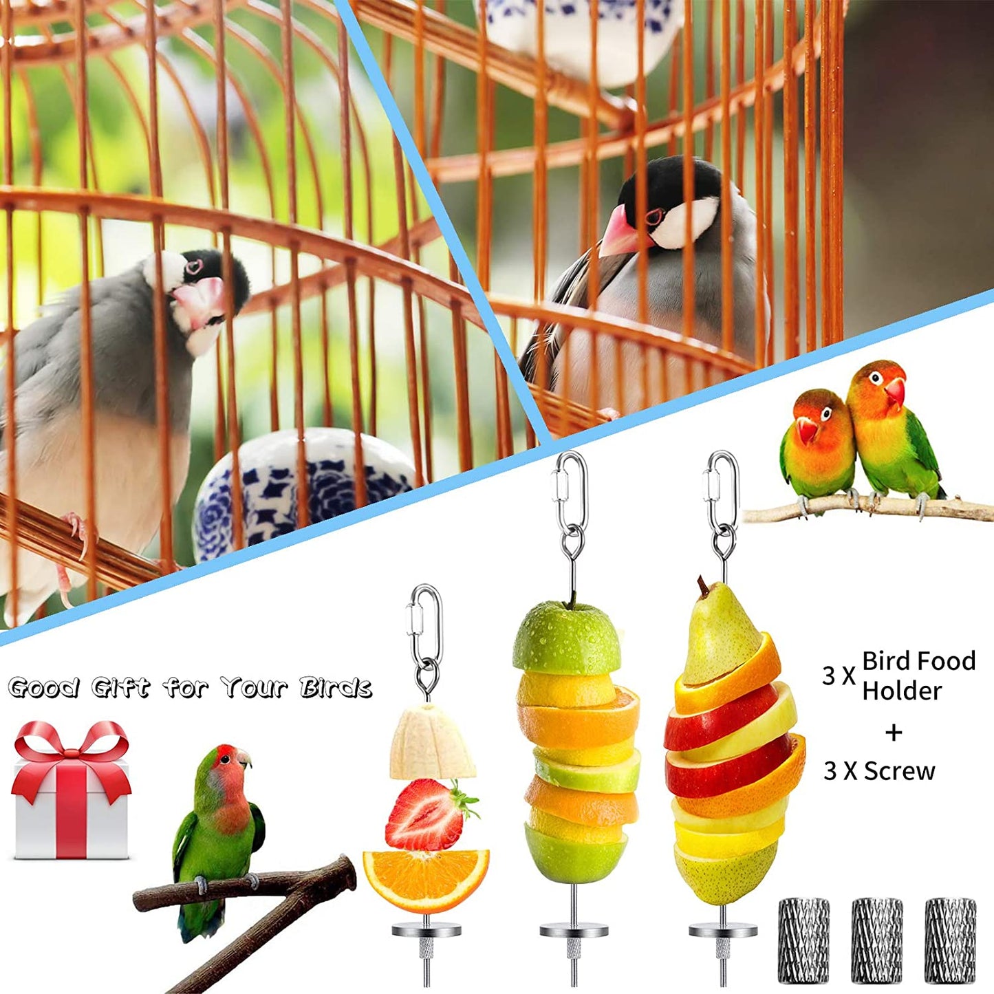 3-Piece Stainless Steel Bird Food Holder and Feeder Toy for Small Animals, Ideal for Parrots, Cockatoos, and Cockatiels