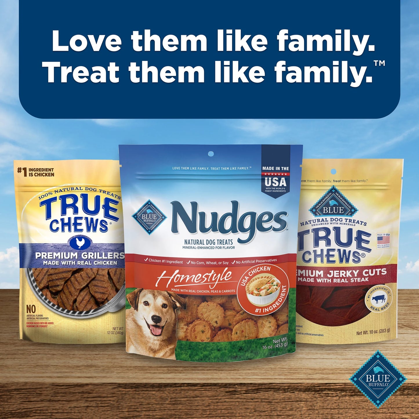 Nudges Homestyle Natural Dog Treats with Real Chicken, 16 oz Bag