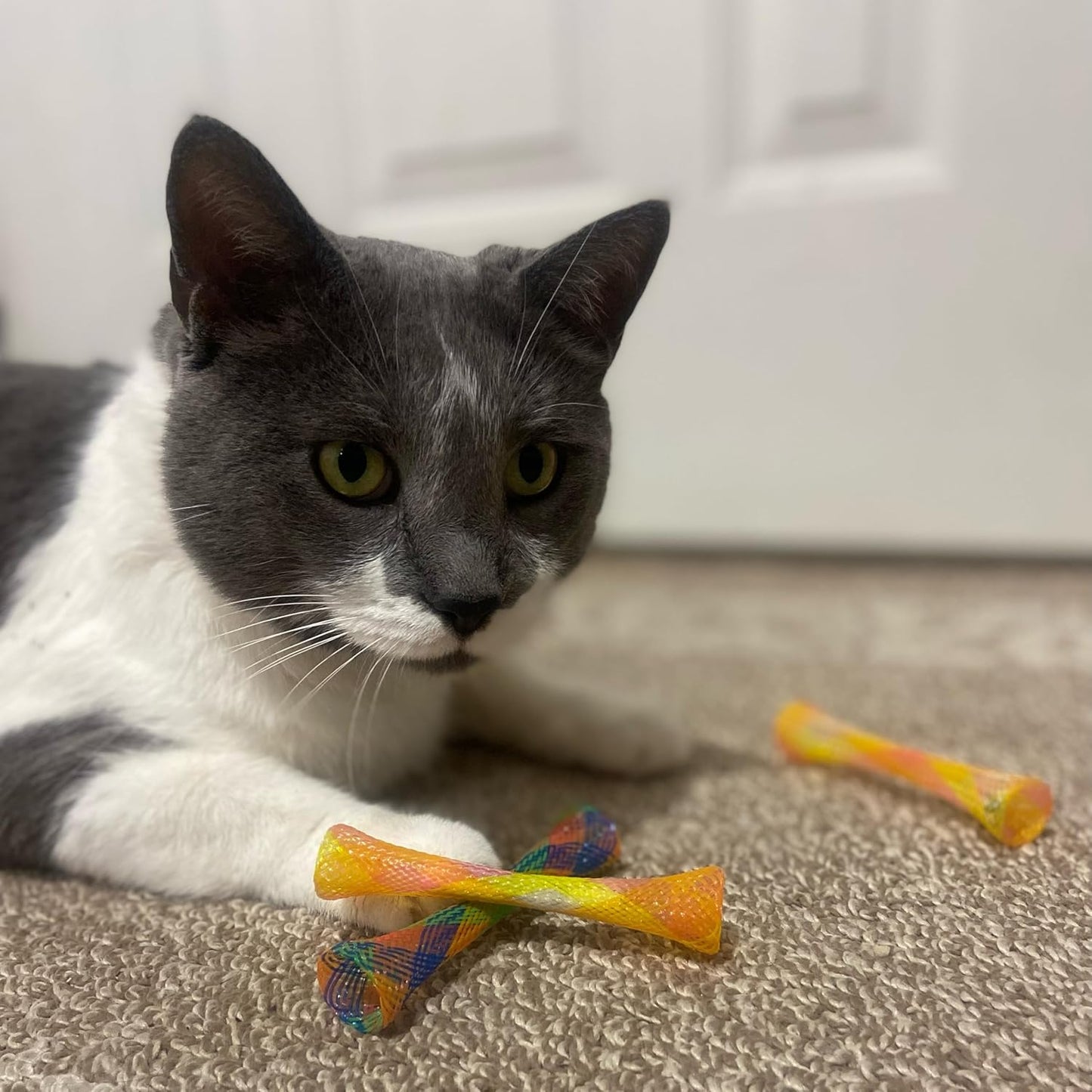 Kitty Fun Tubes Interactive Cat Toy Set | Bouncy Catnip-Infused Toys for Engaging Playtime | 3-Piece Collection for Cats and Kittens