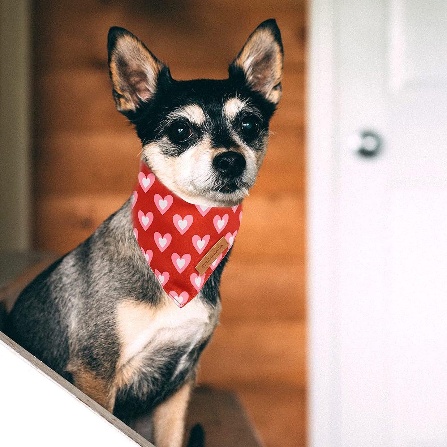 Reversible Triangle Dog Bandanas - 2 Pack for Medium and Large Dogs, Premium Durable Fabric, Ideal for Mother's Day and Valentine's Day