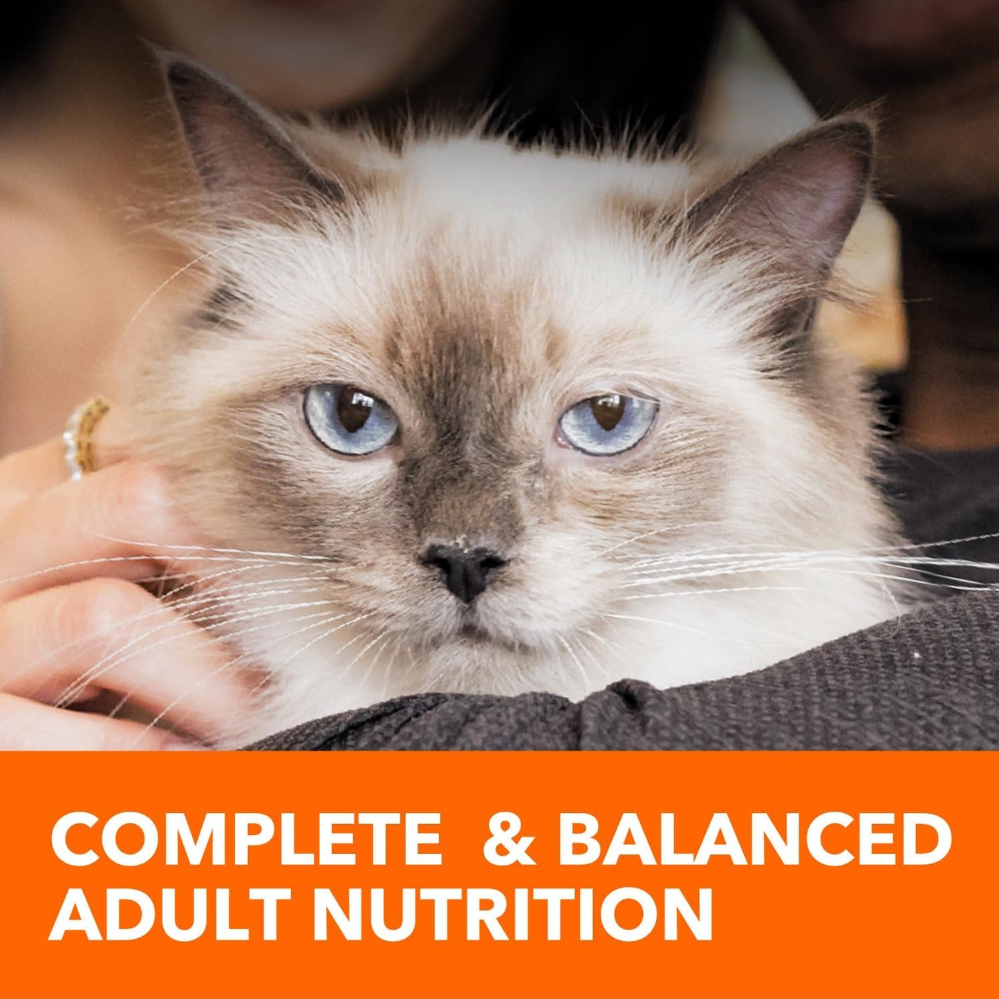 Proactive Health Adult Healthy Dry Cat Food with Chicken, 22 Lb. Bag