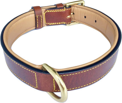 Premium Genuine Leather Padded Dog Collar - Large Brown, 24" Length x 1.5" Width, Fits Neck Sizes 18" to 21