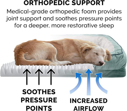 Orthopedic Small Dog Bed with Removable Bolsters and Washable Cover for Dogs Up to 20 lbs - Plush Velvet Waves in Celadon Green