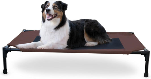 Elevated Outdoor Dog Cot - Breathable Cooling Hammock Pet Bed for Large Dogs, Washable Mesh Cover, Collapsible Portable Design, 42 x 30 In, Chocolate