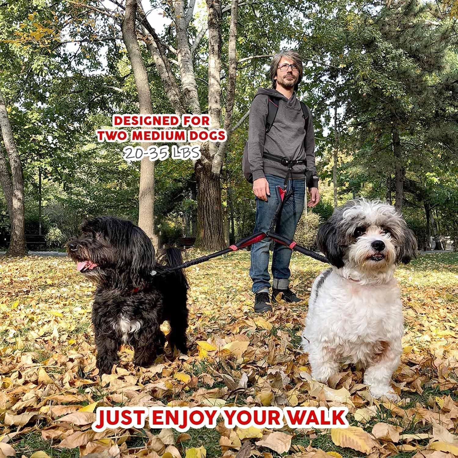 Premium Dual Dog Leash Coupler with Tangle-Free Swivel for Walking Two Medium Dogs - Black & Red