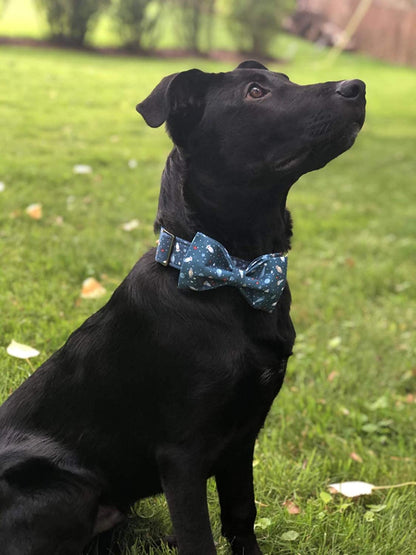 Elegant Bowtie Dog Collar - Adjustable Cotton and Webbing Design for Small, Medium, and Large Dogs and Cats