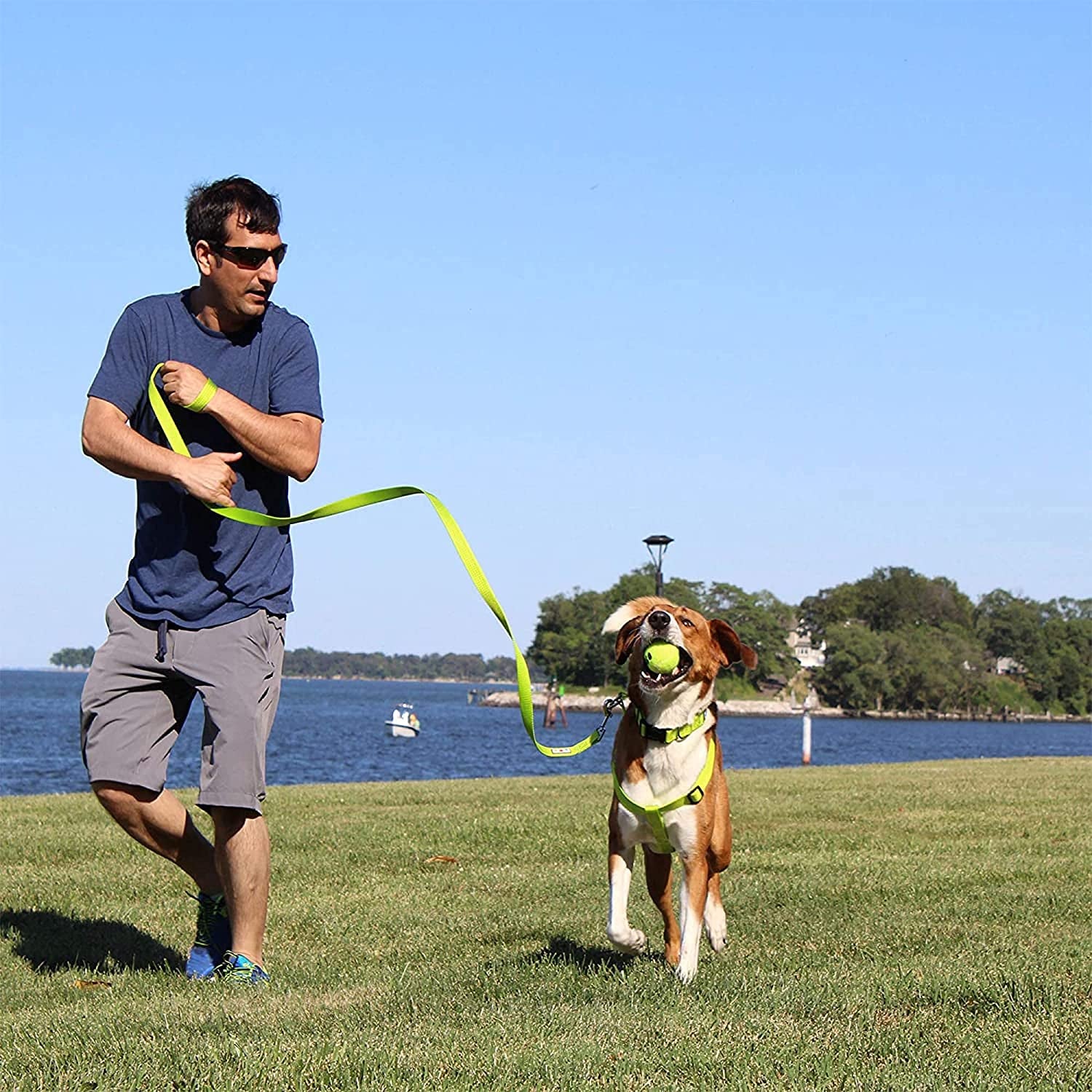6-Foot Solid Color Dog Training Leash with Comfortable Handle - Medium/Large Size in Pink