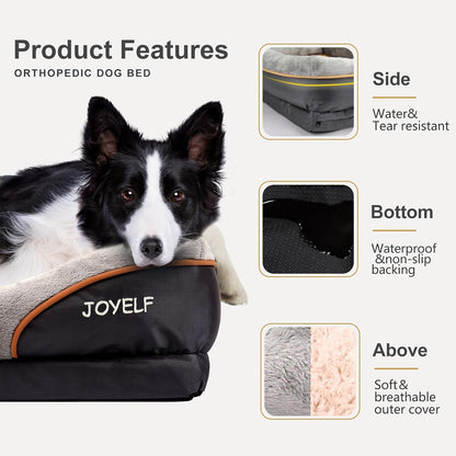 Orthopedic Large Memory Foam Dog Bed with Removable Washable Cover and Complimentary Squeaker Toy