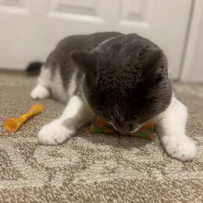 Kitty Fun Tubes Interactive Cat Toy Set | Bouncy Catnip-Infused Toys for Engaging Playtime | 3-Piece Collection for Cats and Kittens