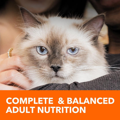 Proactive Health Adult Healthy Dry Cat Food with Chicken, 22 Lb. Bag